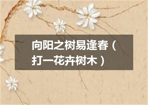 向阳之树易逢春（打一花卉树木）