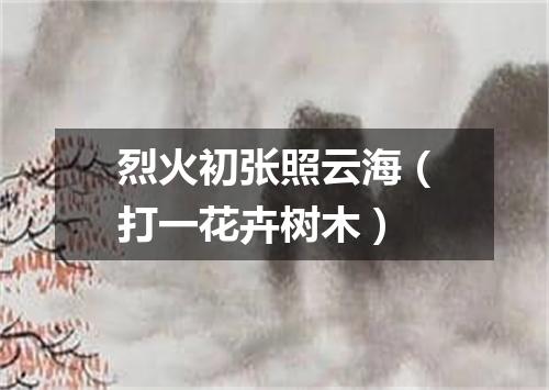 烈火初张照云海（打一花卉树木）