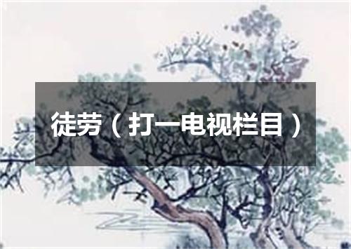徒劳（打一电视栏目）