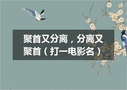 聚首又分离，分离又聚首（打一电影名）