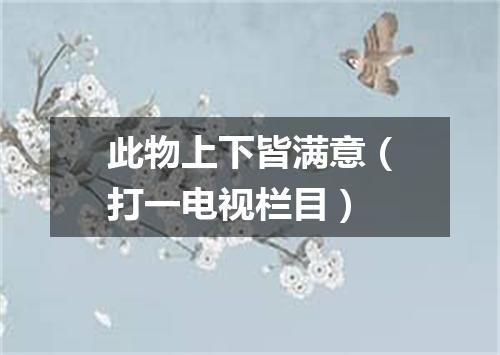 此物上下皆满意（打一电视栏目）