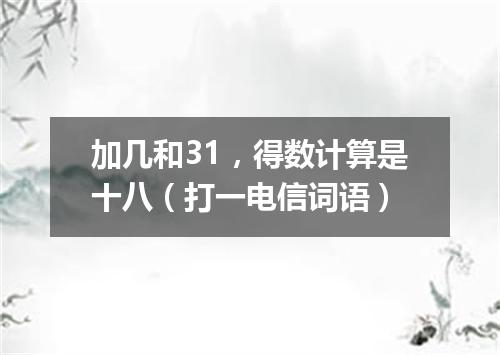 加几和31，得数计算是十八（打一电信词语）
