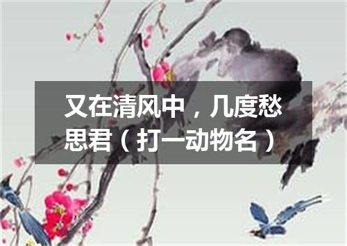 又在清风中，几度愁思君（打一动物名）