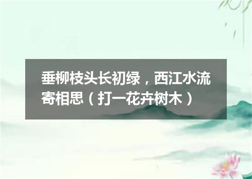 垂柳枝头长初绿，西江水流寄相思（打一花卉树木）