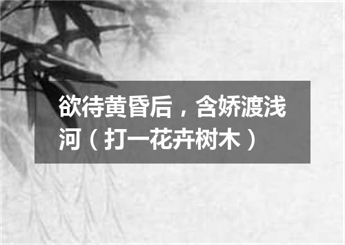 欲待黄昏后，含娇渡浅河（打一花卉树木）