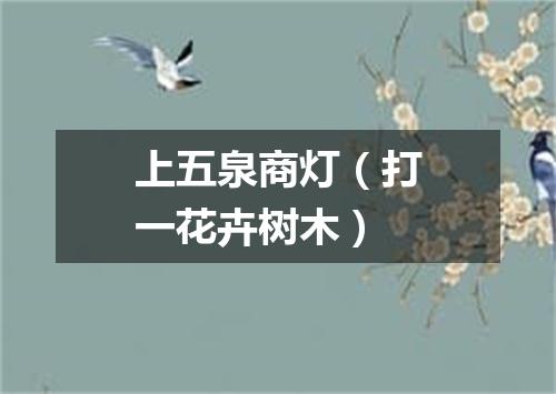 上五泉商灯（打一花卉树木）