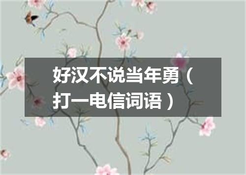 好汉不说当年勇（打一电信词语）