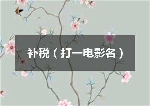 补税（打一电影名）