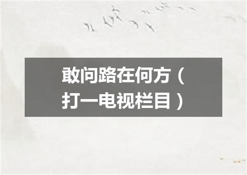 敢问路在何方（打一电视栏目）