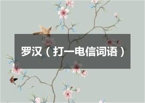 罗汉（打一电信词语）