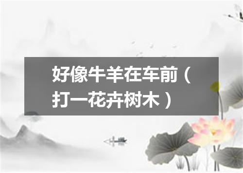 好像牛羊在车前（打一花卉树木）