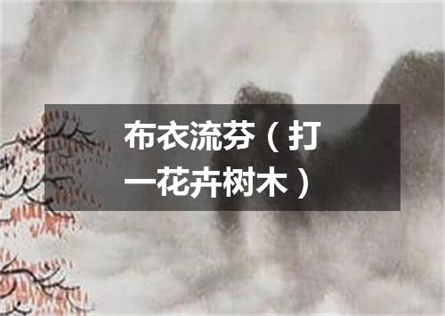布衣流芬（打一花卉树木）
