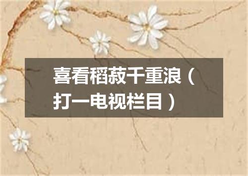 喜看稻菽千重浪（打一电视栏目）