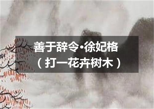 善于辞令·徐妃格（打一花卉树木）