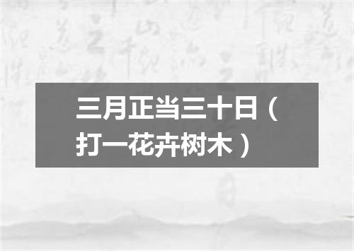 三月正当三十日（打一花卉树木）