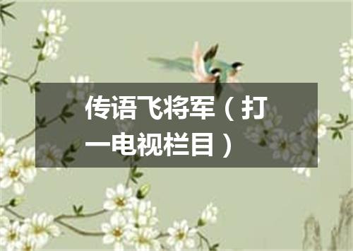 传语飞将军（打一电视栏目）
