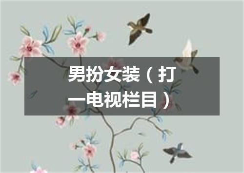 男扮女装（打一电视栏目）