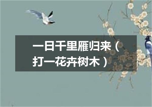 一日千里雁归来（打一花卉树木）