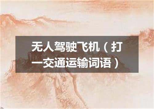 无人驾驶飞机（打一交通运输词语）