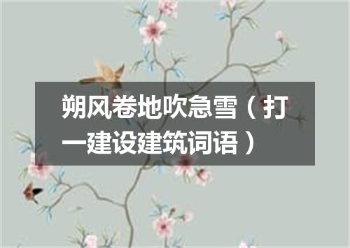 朔风卷地吹急雪（打一建设建筑词语）