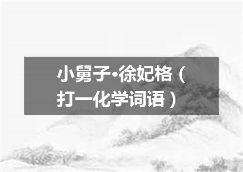 小舅子·徐妃格（打一化学词语）