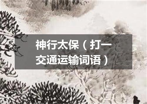 神行太保（打一交通运输词语）