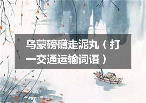 乌蒙磅礴走泥丸（打一交通运输词语）