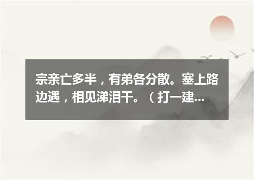 宗亲亡多半，有弟各分散。塞上路边遇，相见涕泪干。（打一建设建筑词语）