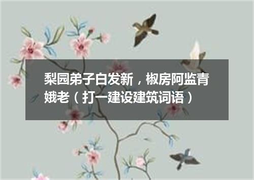梨园弟子白发新，椒房阿监青娥老（打一建设建筑词语）