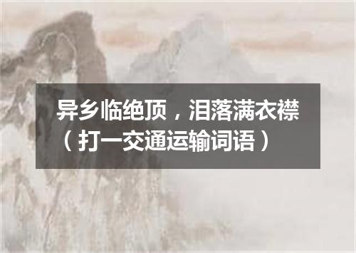 异乡临绝顶，泪落满衣襟（打一交通运输词语）