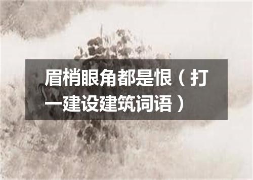 眉梢眼角都是恨（打一建设建筑词语）