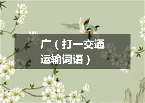 广（打一交通运输词语）