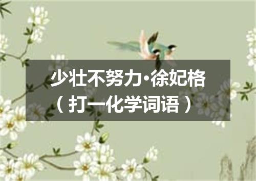 少壮不努力·徐妃格（打一化学词语）