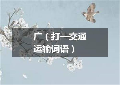 广（打一交通运输词语）