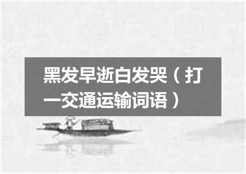 黑发早逝白发哭（打一交通运输词语）
