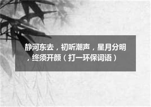 静河东去，初听潮声，星月分明，终须开颜（打一环保词语）