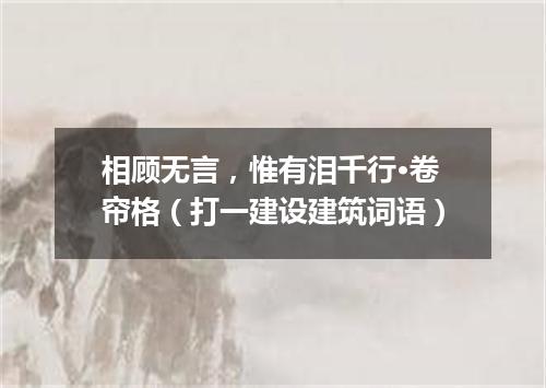 相顾无言，惟有泪千行·卷帘格（打一建设建筑词语）
