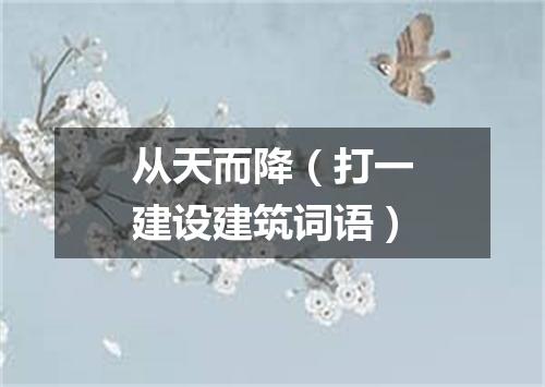 从天而降（打一建设建筑词语）