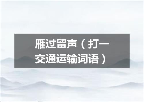 雁过留声（打一交通运输词语）