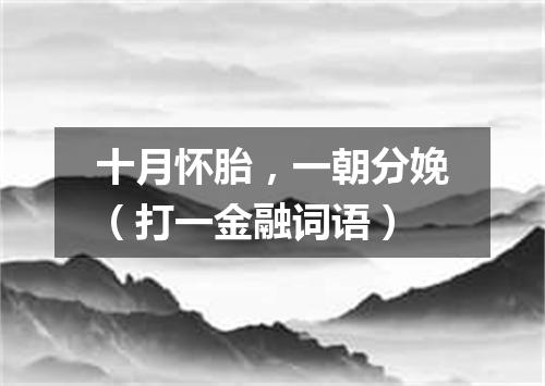 十月怀胎，一朝分娩（打一金融词语）