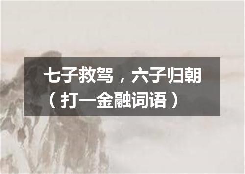 七子救驾，六子归朝（打一金融词语）