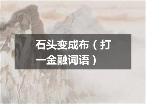 石头变成布（打一金融词语）