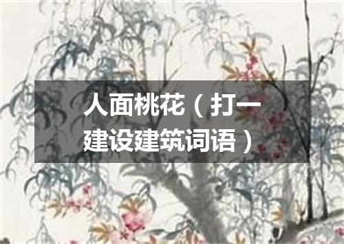 人面桃花（打一建设建筑词语）