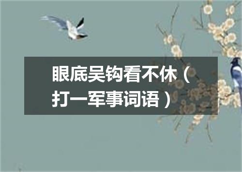 眼底吴钩看不休（打一军事词语）