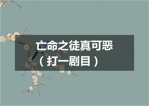亡命之徒真可恶（打一剧目）
