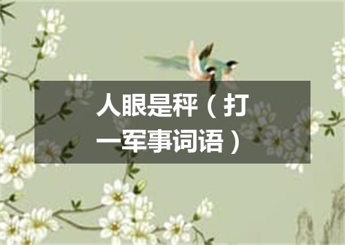 人眼是秤（打一军事词语）