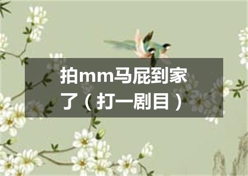 拍mm马屁到家了（打一剧目）
