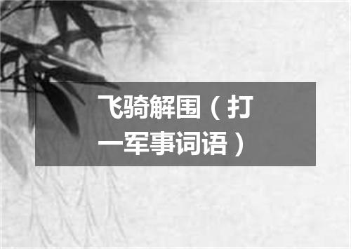 飞骑解围（打一军事词语）