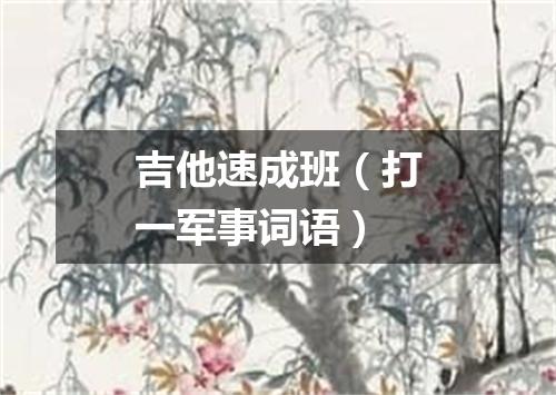 吉他速成班（打一军事词语）