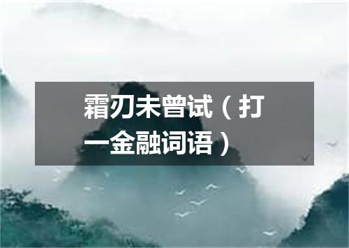 霜刃未曾试（打一金融词语）